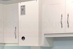 Pharisee Green electric boiler quotes